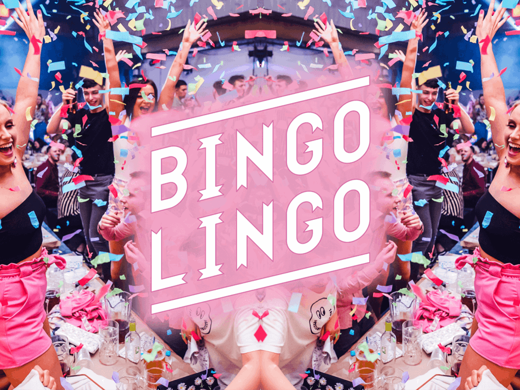beginner-s-guide-to-online-bingo