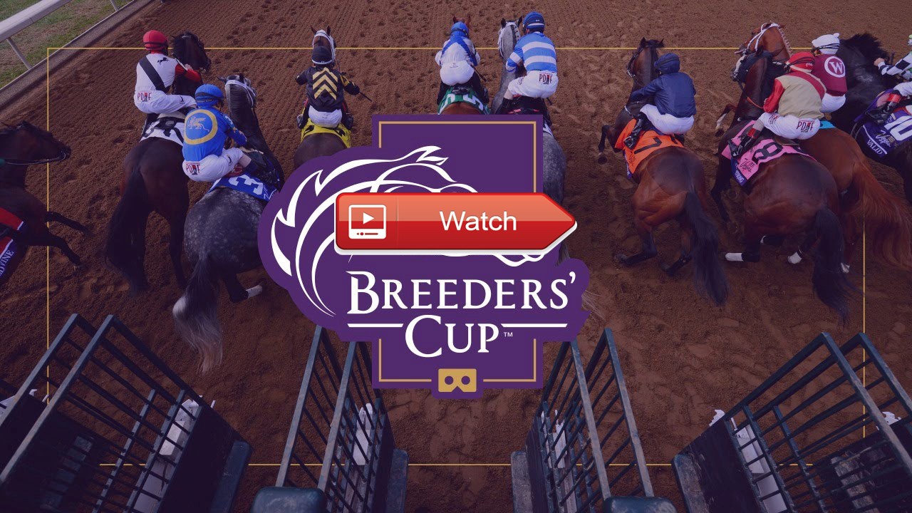 Breeders' Cup Live Stream Free Reddit | Watch 2020 Streams ...