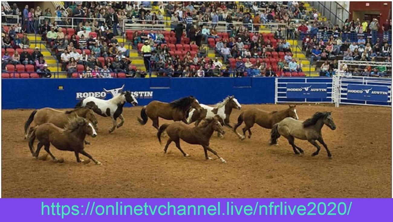 Day 2 Streams: NFR 2020 Live For Free Reddit: Wrangler ...