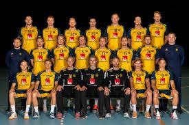 (Handball Final ) Sweden vs Denmark Live Stream 27th Watch ...