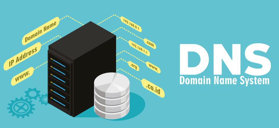 Что такое dns офд