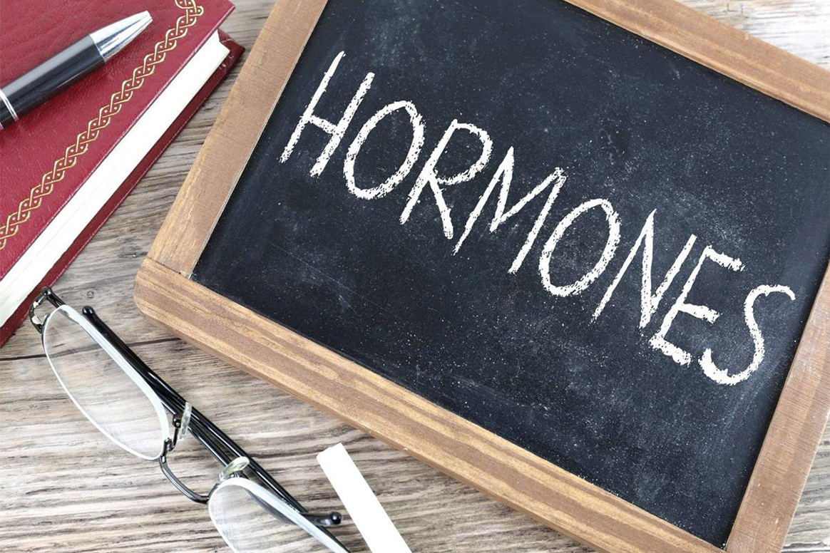 Hormones and the Affects it Has on Our Body - Programming Insider