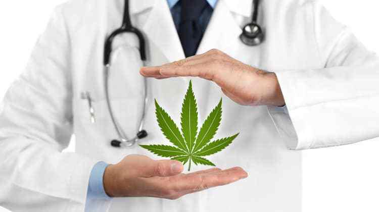 Is Medical Marijuana Better Than CBD Oil?
