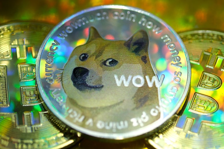 best way to store dogecoin