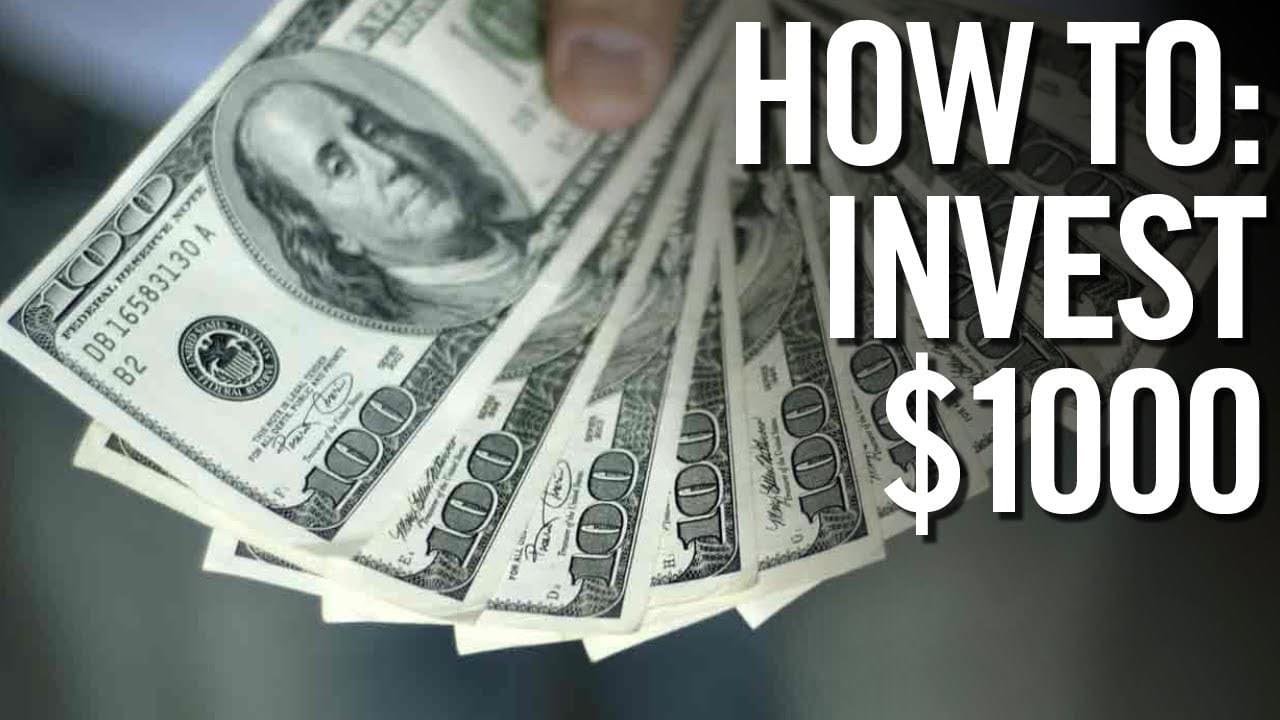 How to Invest 1,000? The Reasons and Steps Programming