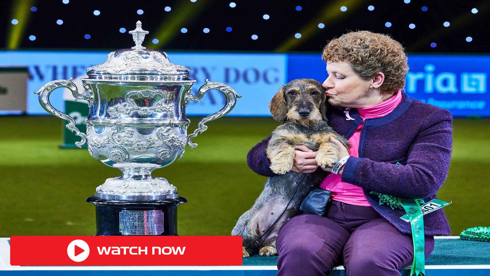 Watch Crufts 2022 Live Dog Show TV Coverage and Online Streams Details