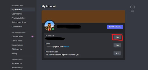 Discord Invisible Name & Avatar (Updated 2022) - Programming Insider