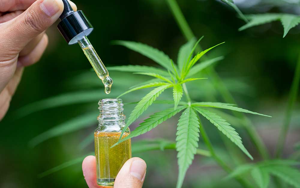 CBD Oil Extraction Methods - Programming Insider