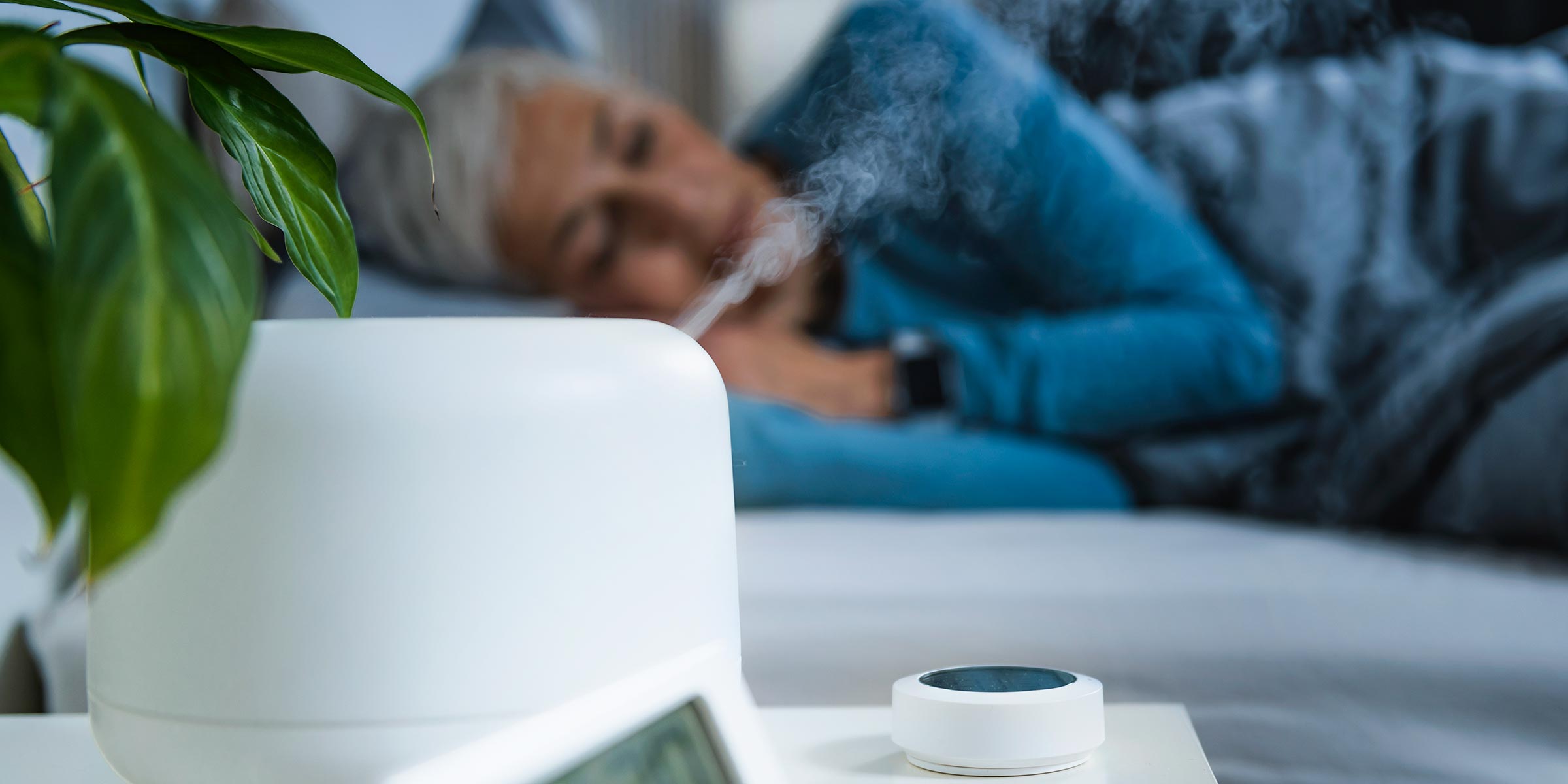 7 Reasons You Need a Humidifier in Your Home Programming Insider