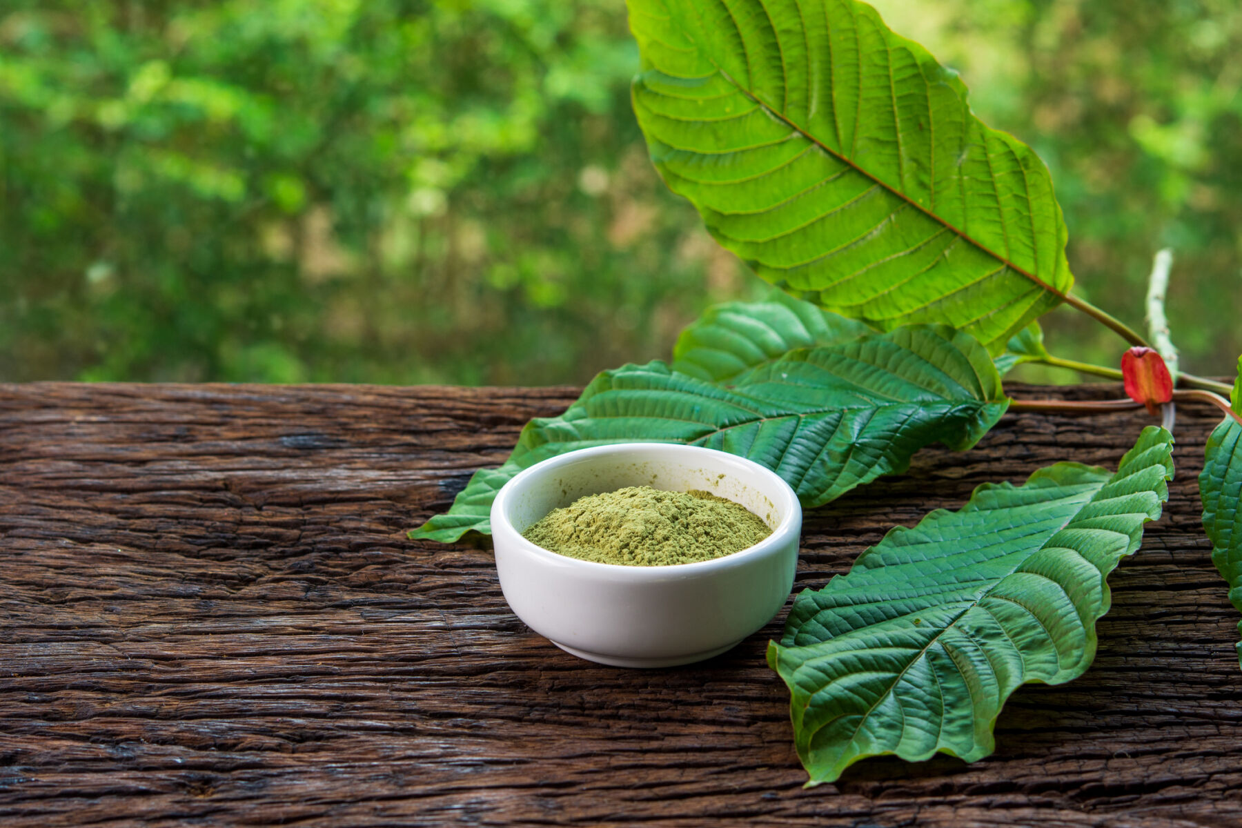 Does Law Protect Kratom Consumers? - Programming Insider