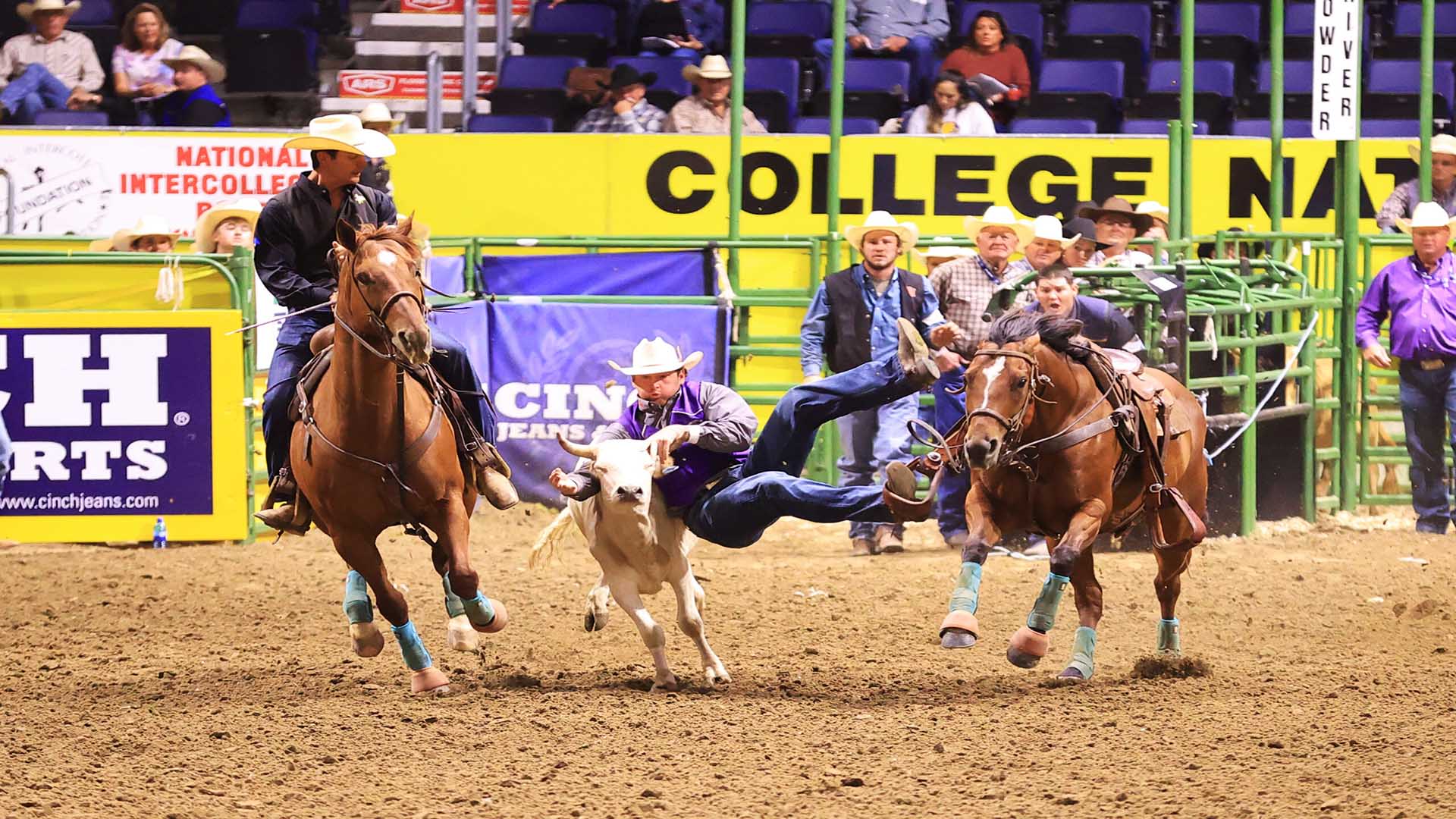 College National Finals Rodeo 2022 Schedule, Live Coverage, CNFR on TV