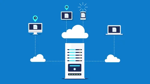 Understanding Proxy Servers: A Comprehensive Guide - Programming Insider