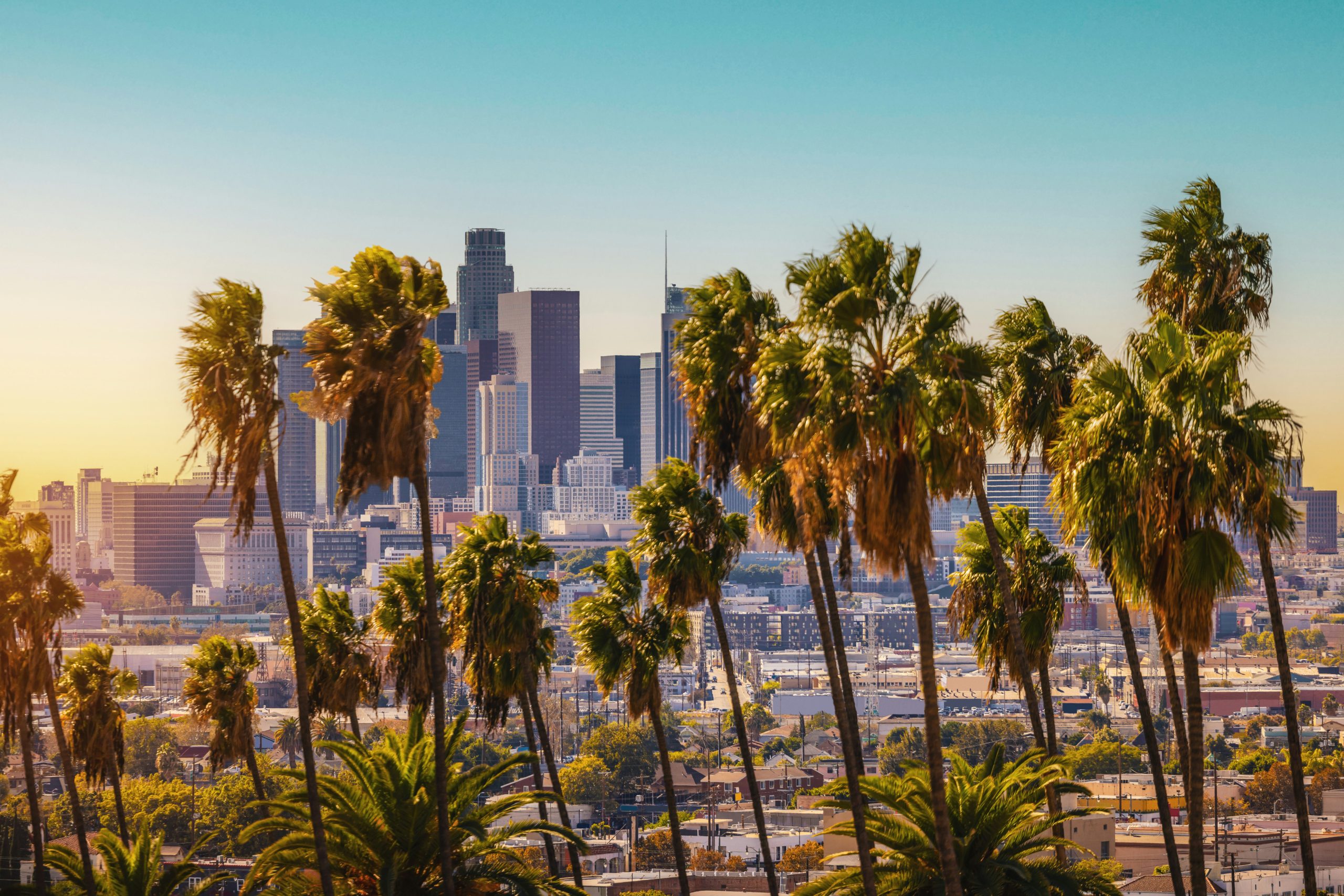 The Evolving Demands of Security Companies  in Los Angeles